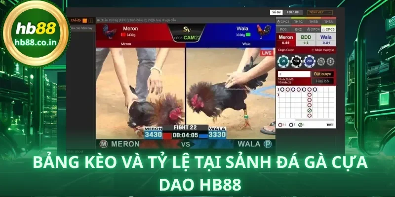 Bảng kèo hiển thị theo thời gian thực, cập nhật trước và trong trận.