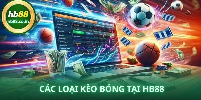 Các Loại Kèo Bóng – Hiểu Đúng, Chọn Chuẩn, Tăng Tỷ Lệ Thắng