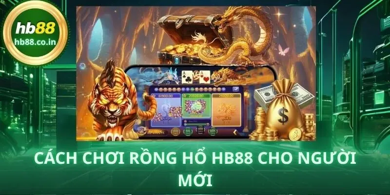 Giao diện bàn cược Rồng Hổ HB88 rõ ràng, thao tác nhanh và dễ theo dõi.