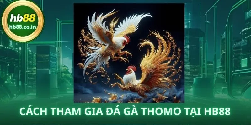 Chỉ với vài bước đơn giản, bạn đã có thể tham gia cá cược đá gà Thomo trực tuyến cùng HB88