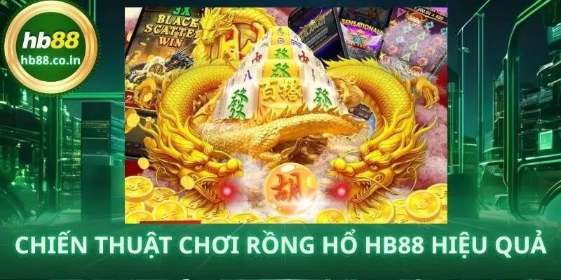 Người chơi Rồng Hổ HB88 nên áp dụng chiến thuật và kỷ luật vốn để tăng cơ hội thắng.