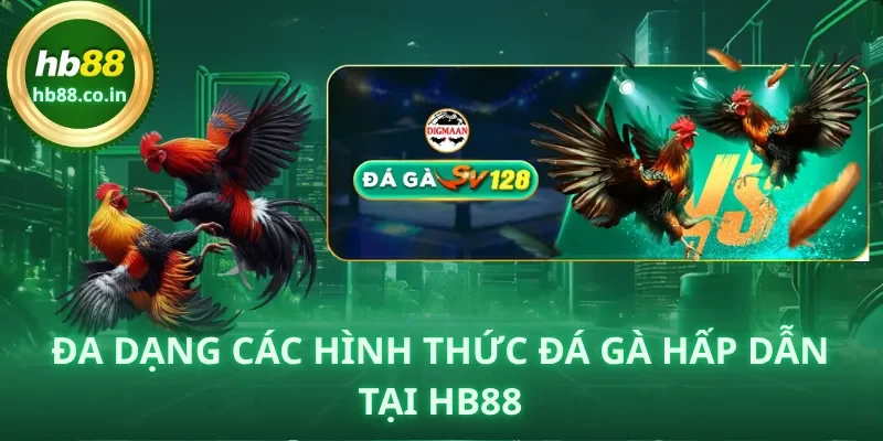 Đa dạng các hình thức đá gà hấp dẫn tại HB88.