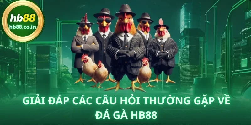 Giải đáp các câu hỏi thường gặp về Đá Gà HB88.