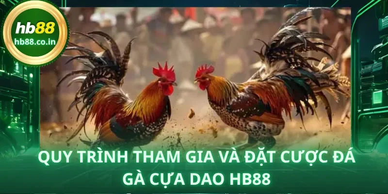 Ba bước nhanh gọn: đăng nhập – nạp tiền – chọn trận là có thể theo dõi và đặt cược.