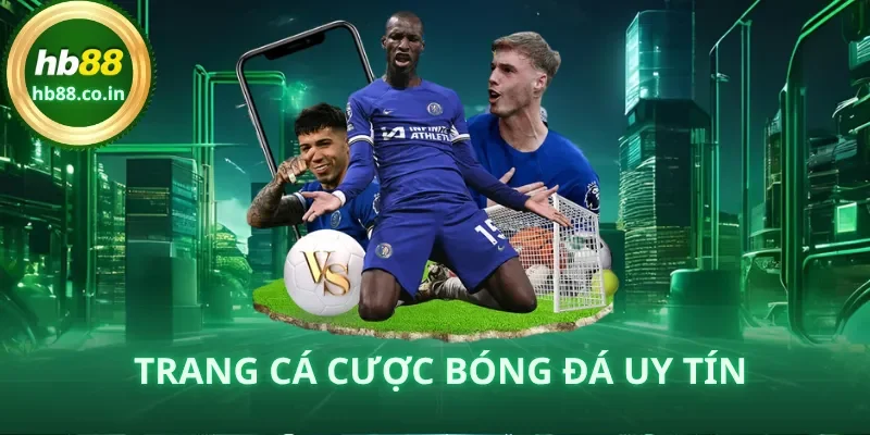 Trang Cá Cược Bóng Đá uy tín: Cách chọn & mẹo chơi